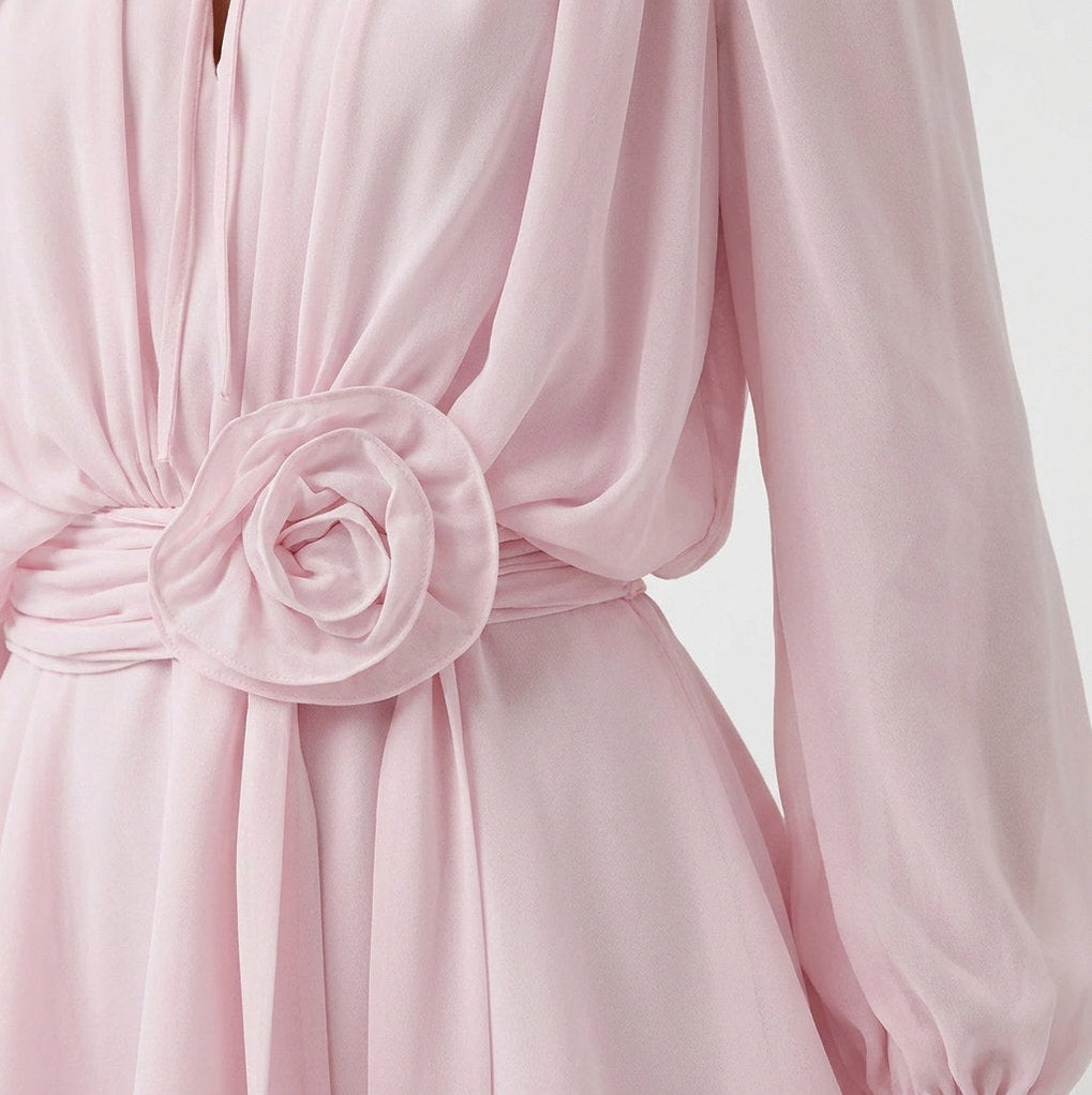 Chiffon Long Sleeve Mini Dress