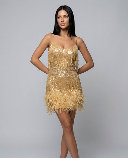 Fringe Feather Mini Dress