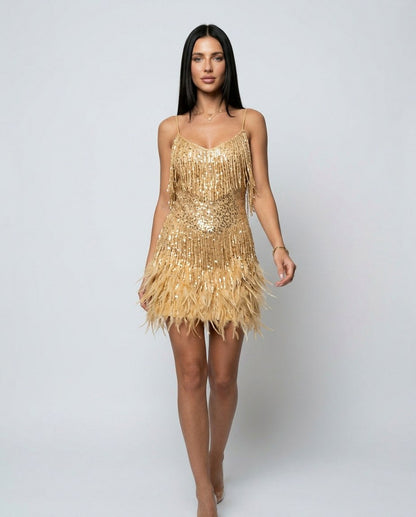 Fringe Feather Mini Dress