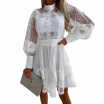 Lace Long Sleeve Mini Dress