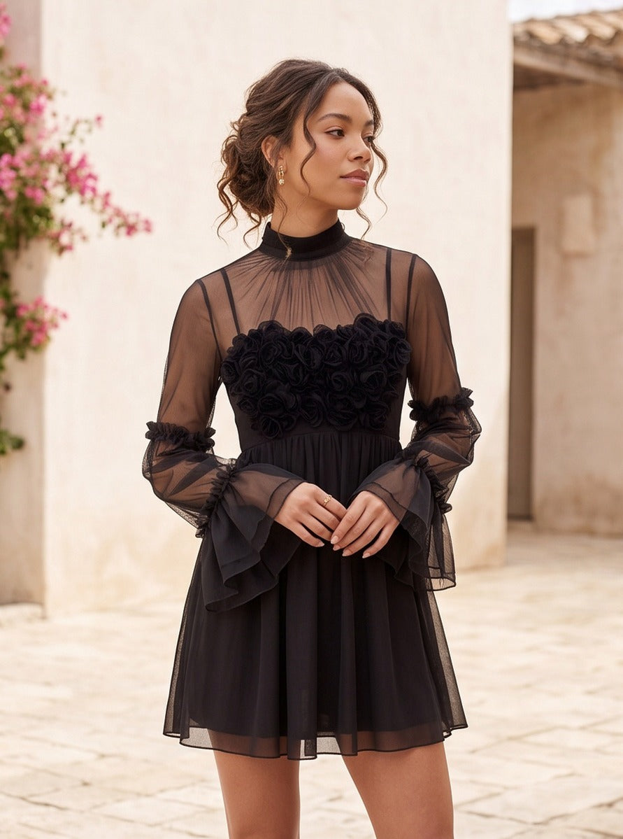 Mesh Long Sleeve Babydoll Mini Dress