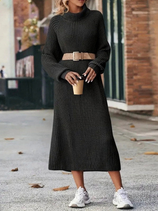 Ribbed Knit Turtleneck Sweater Dress