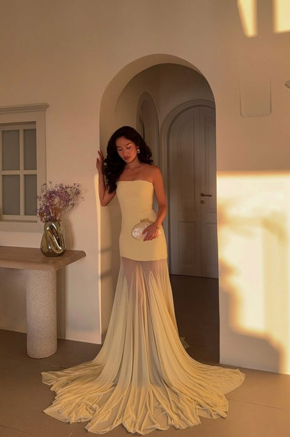 Strapless Sheer Draped Maxi Dress